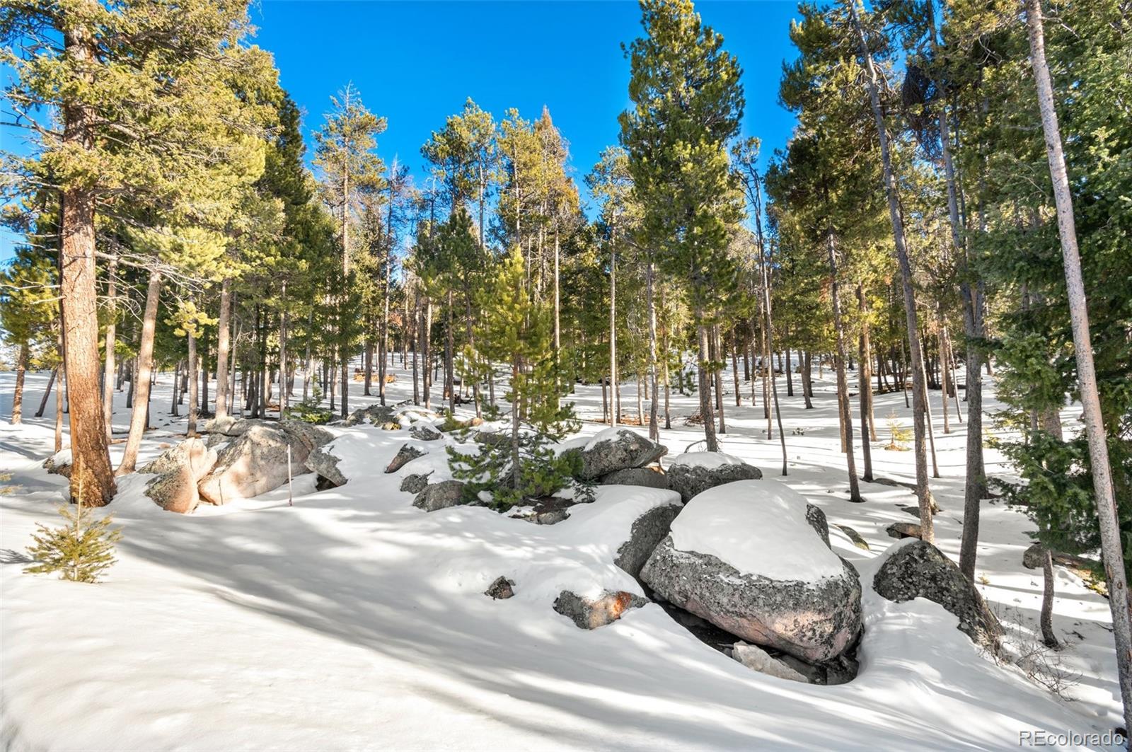 26830 Longview Drive Conifer, CO 80433 - Photo 8 of 26