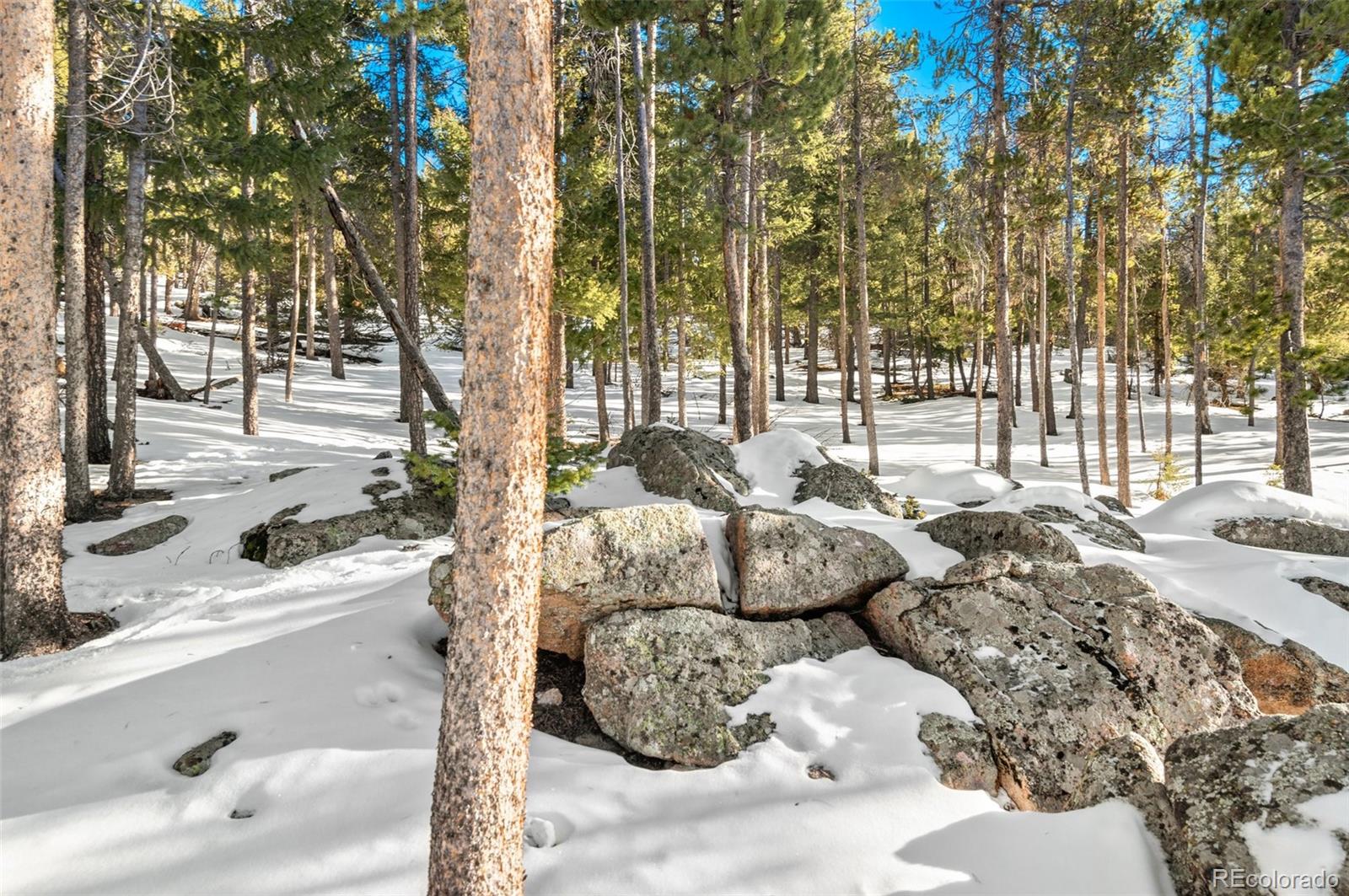 26830 Longview Drive Conifer, CO 80433 - Photo 9 of 26