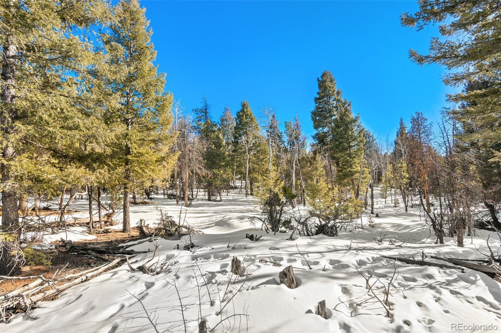 26830 Longview Drive Conifer, CO 80433 - Photo 10 of 26