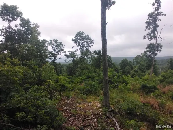 $62,000 | 5 Tract 5 Off Highway, Belleview, MO 63623