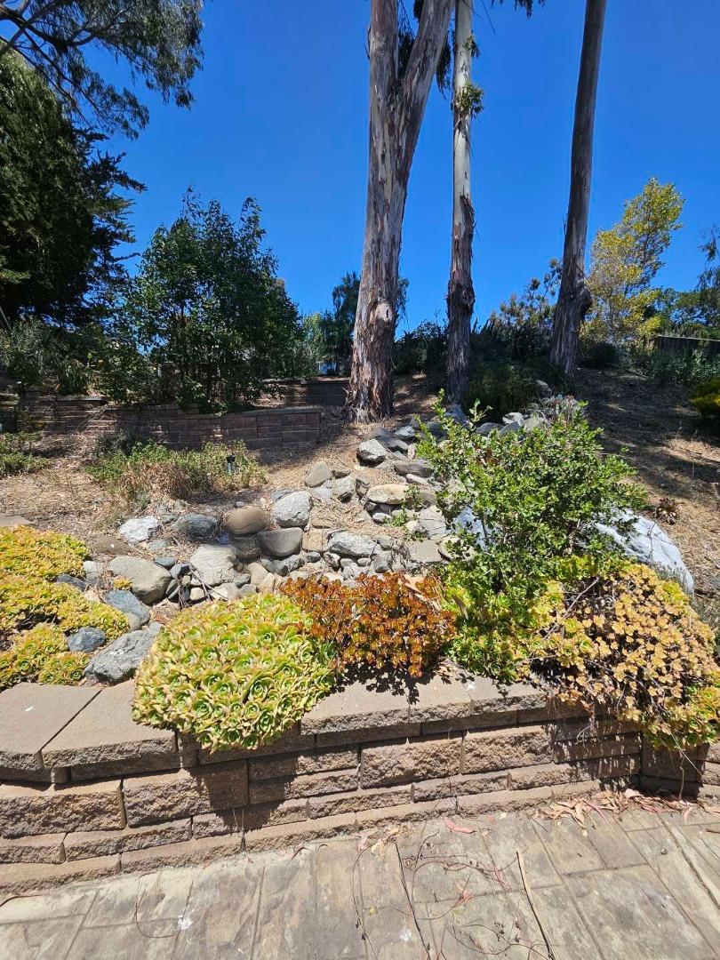 603 Carpenteria Road Aromas, CA 95004 - Photo 10 of 24