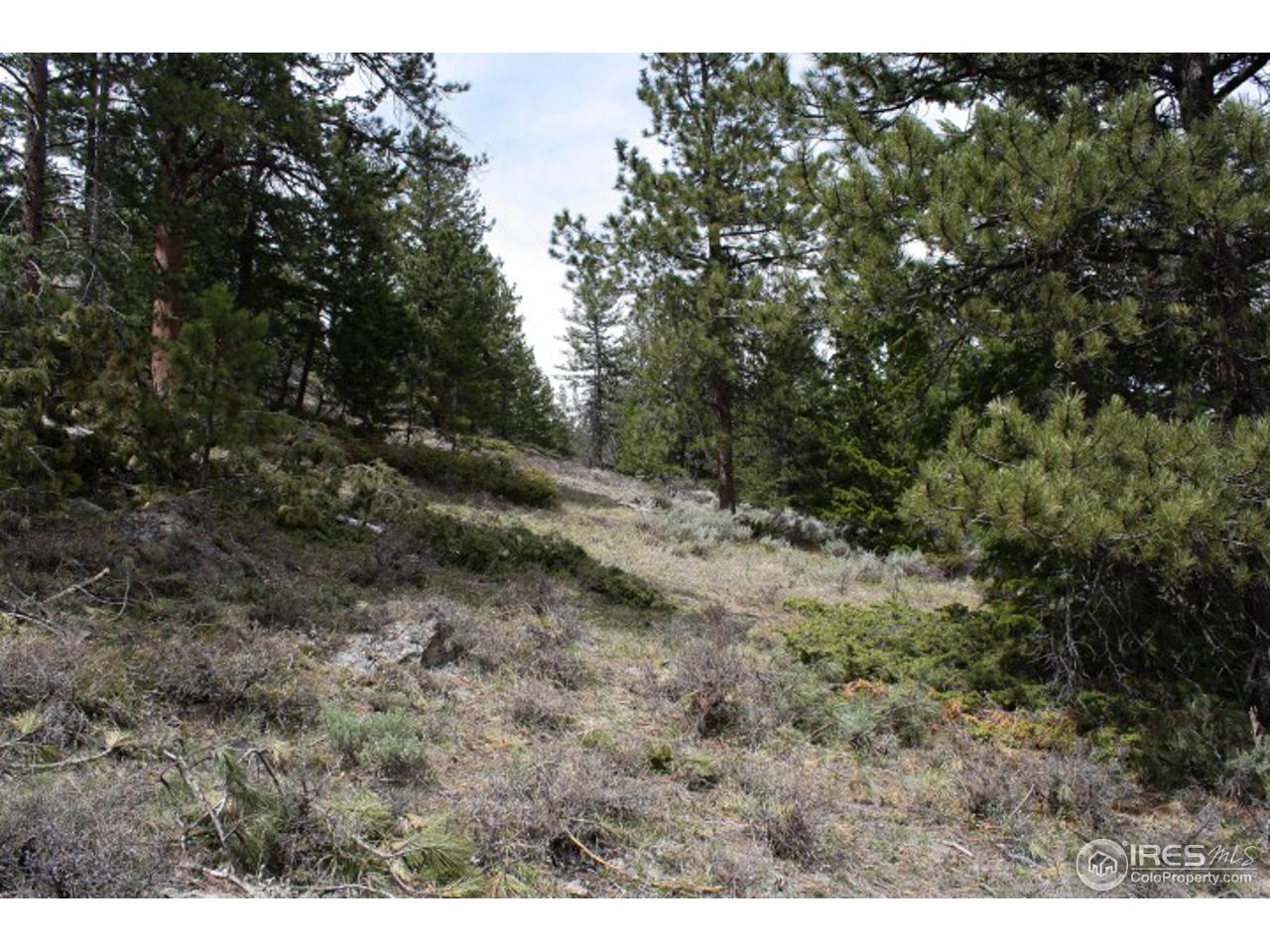 34 Beartrap Road Red Feather Lakes, CO 80545 - Photo 11 of 17