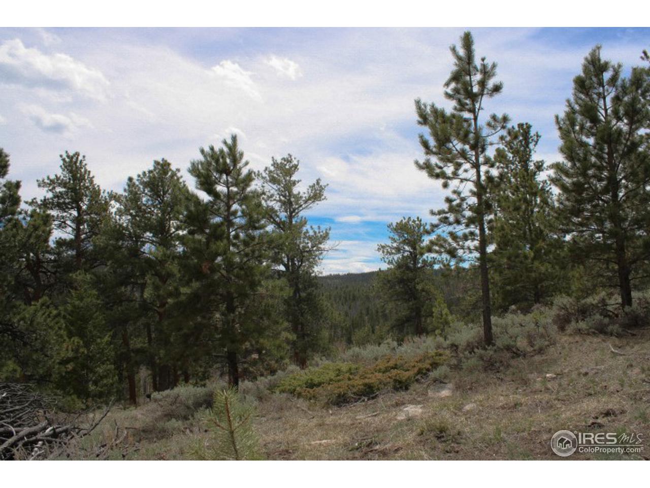 34 Beartrap Road Red Feather Lakes, CO 80545 - Photo 14 of 17 a view of a dry yard with trees in the background