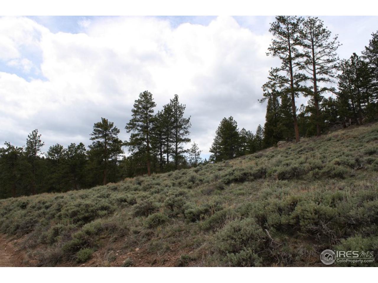 34 Beartrap Road Red Feather Lakes, CO 80545 - Photo 17 of 17 a view of a dry yard