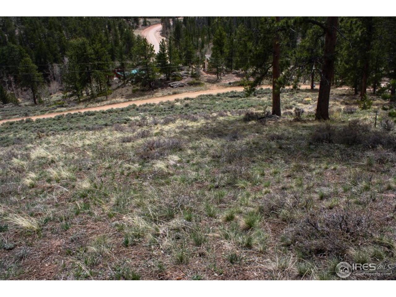 34 Beartrap Road Red Feather Lakes, CO 80545 - Photo 4 of 17 a view of a yard with a tree