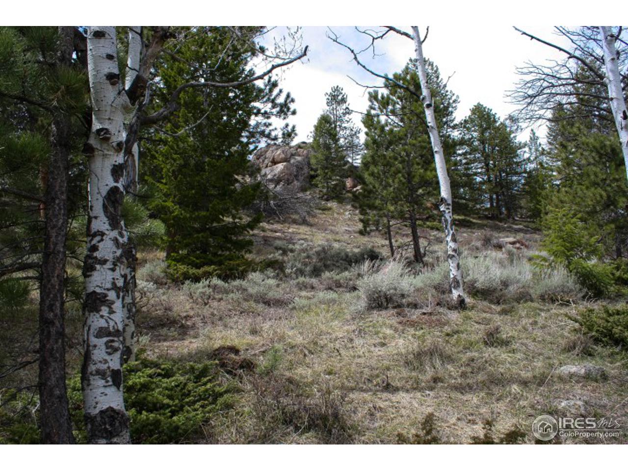 34 Beartrap Road Red Feather Lakes, CO 80545 - Photo 8 of 17 a view of a dry field
