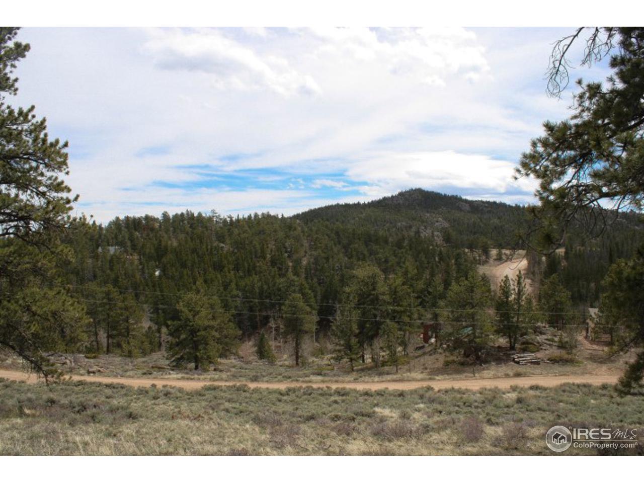 34 Beartrap Road Red Feather Lakes, CO 80545 - Photo 9 of 17 a view of outdoor space with mountain view