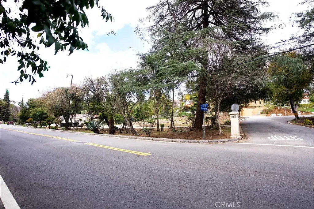 a view of a street with a tree
