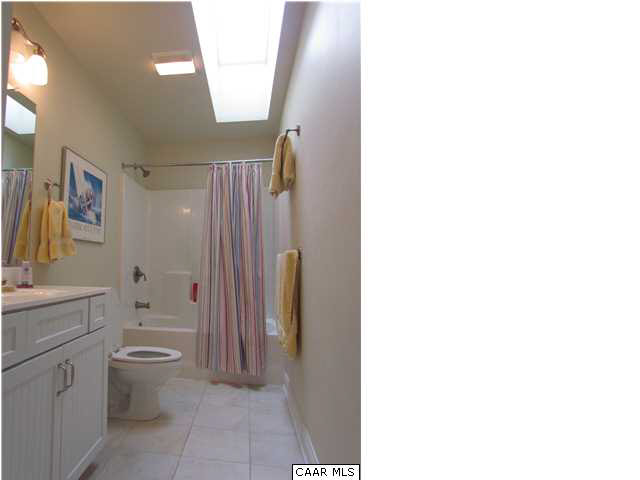 345 Burchs Creek Road Crozet, VA 22932 - Photo 24 of 35 Upstairs hall bath with sky light.