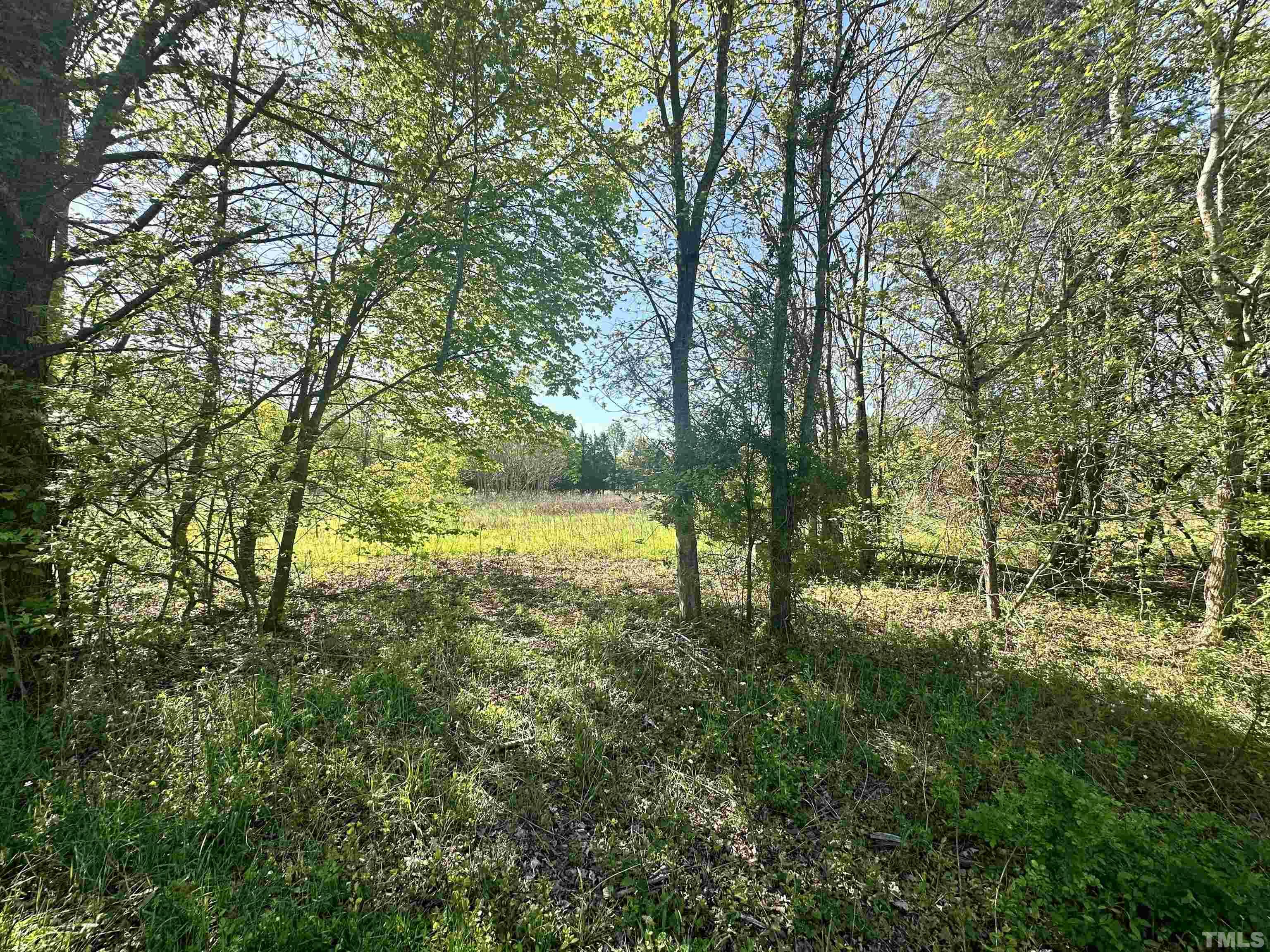 Lot 2 Carr Store Road Hillsborough, NC 27278 - Photo 5 of 5 Gallery Image 5