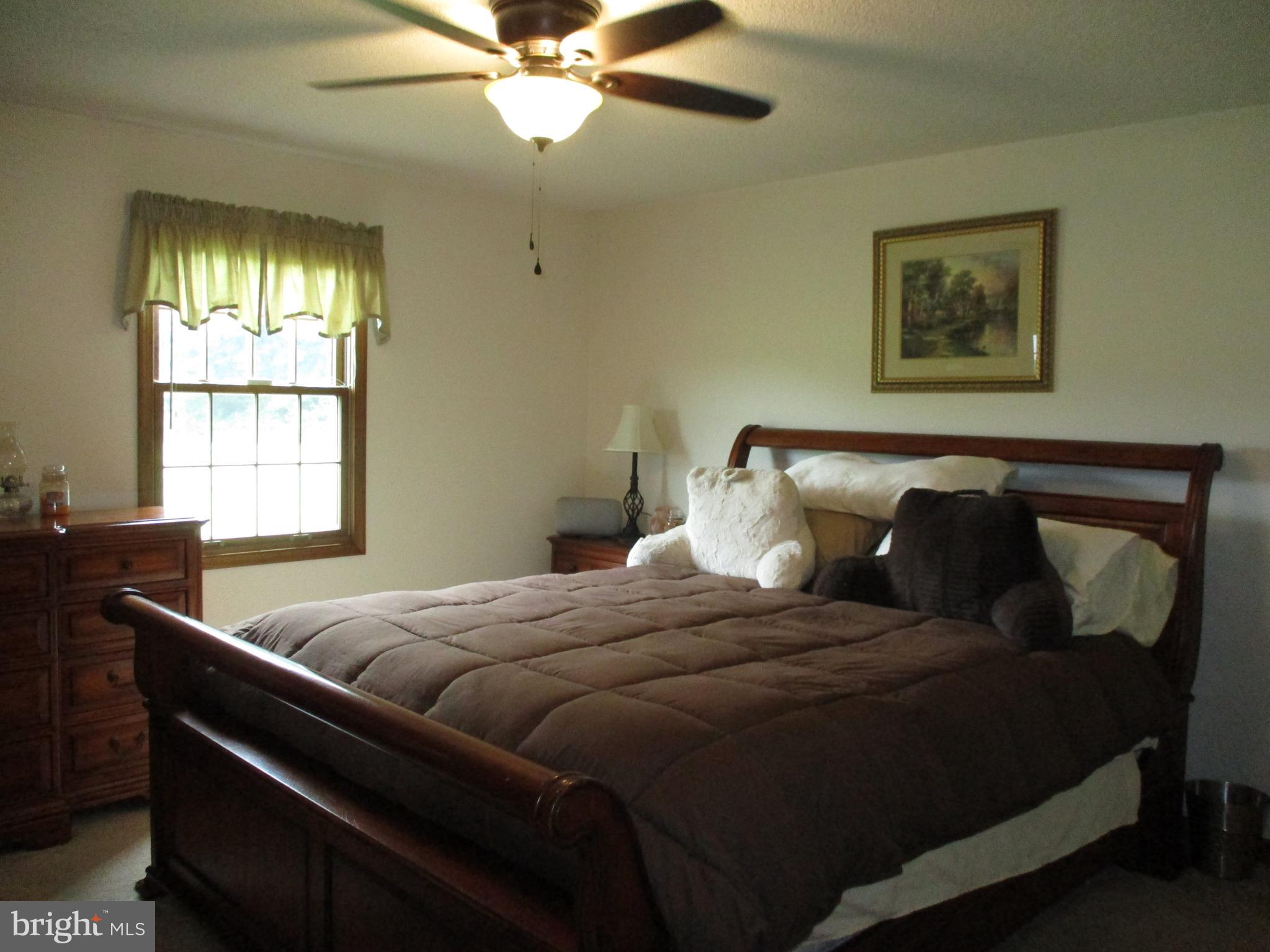 32881 Old Stage Road Laurel, DE 19956 - Photo 19 of 52 MasterBbedroom view 1