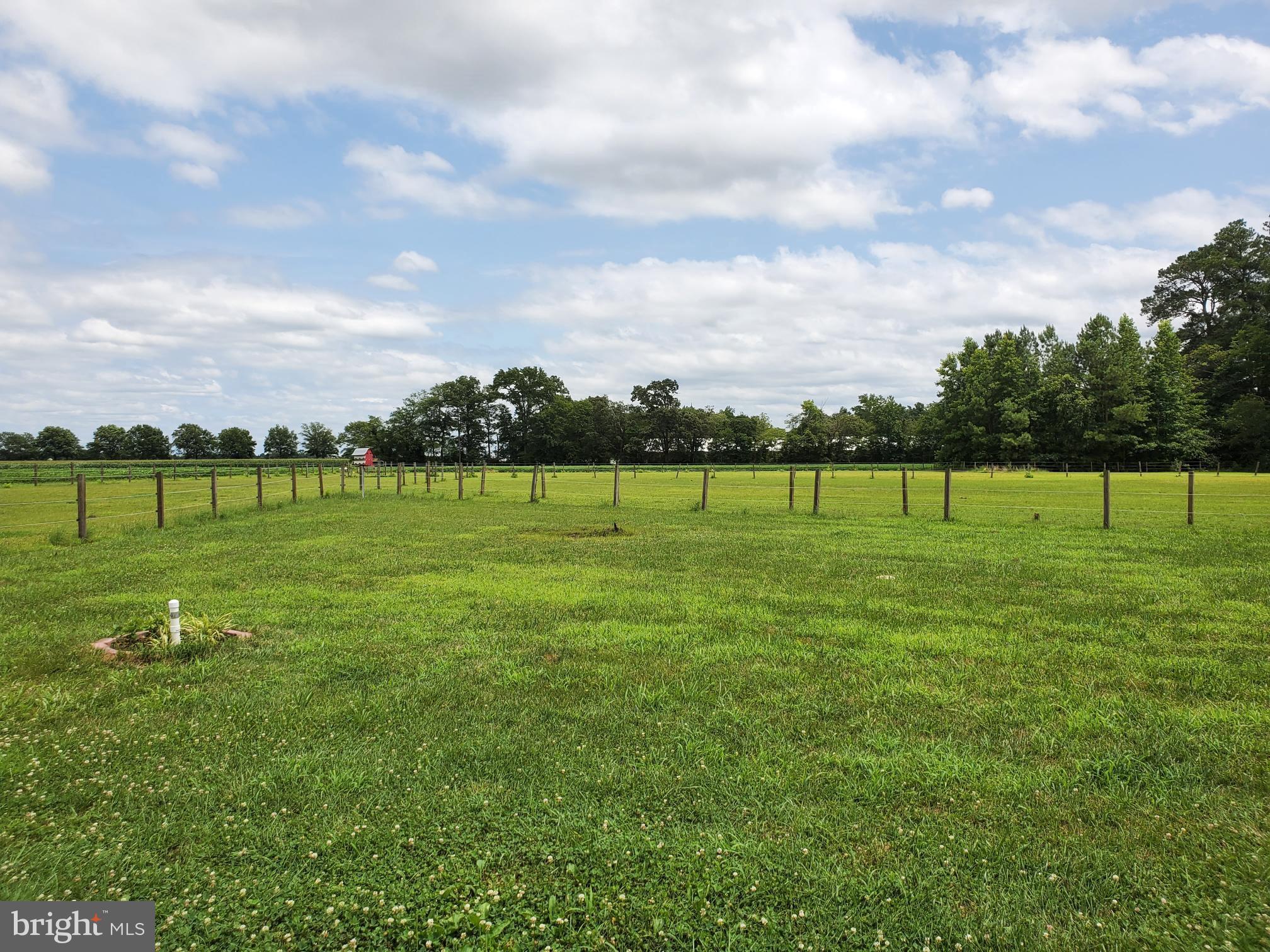 32881 Old Stage Road Laurel, DE 19956 - Photo 35 of 52 Back Yard & Pasture