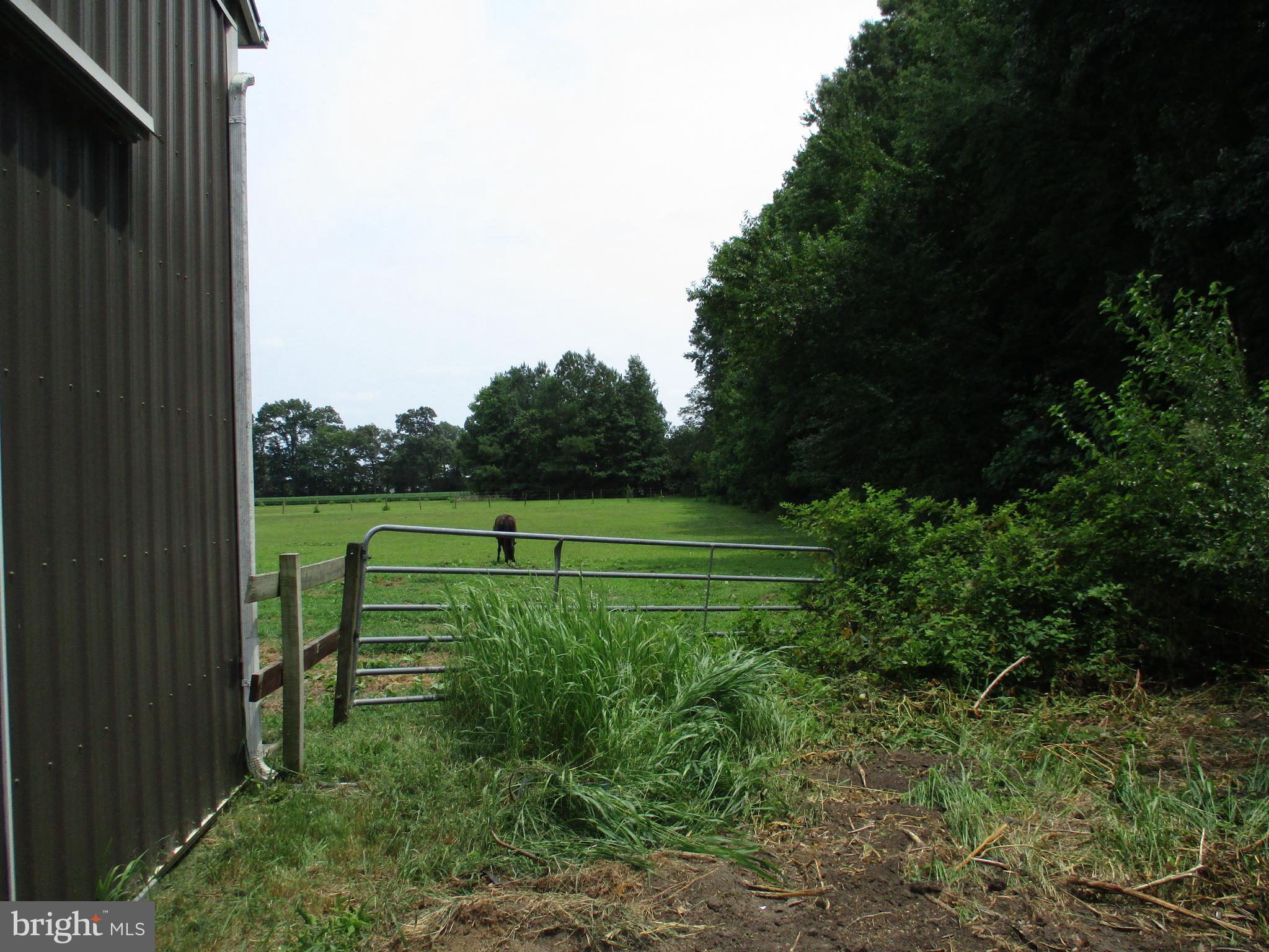 32881 Old Stage Road Laurel, DE 19956 - Photo 36 of 52 Back side of barn & pasture view
