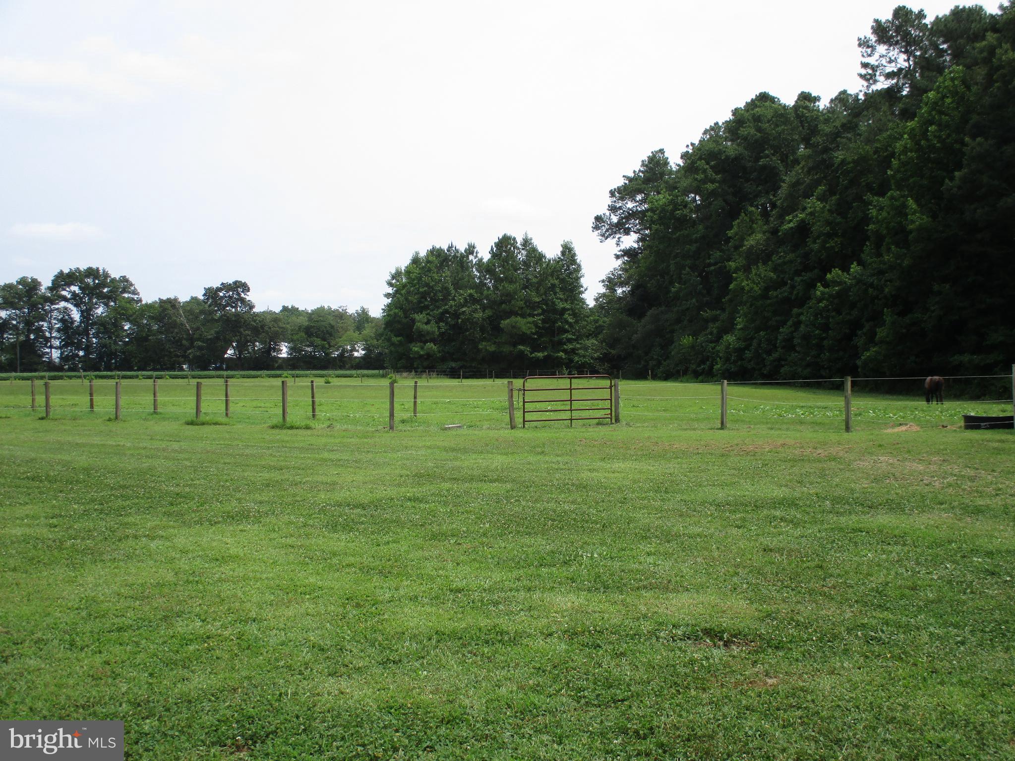 32881 Old Stage Road Laurel, DE 19956 - Photo 37 of 52 Back yard & part of pasture area