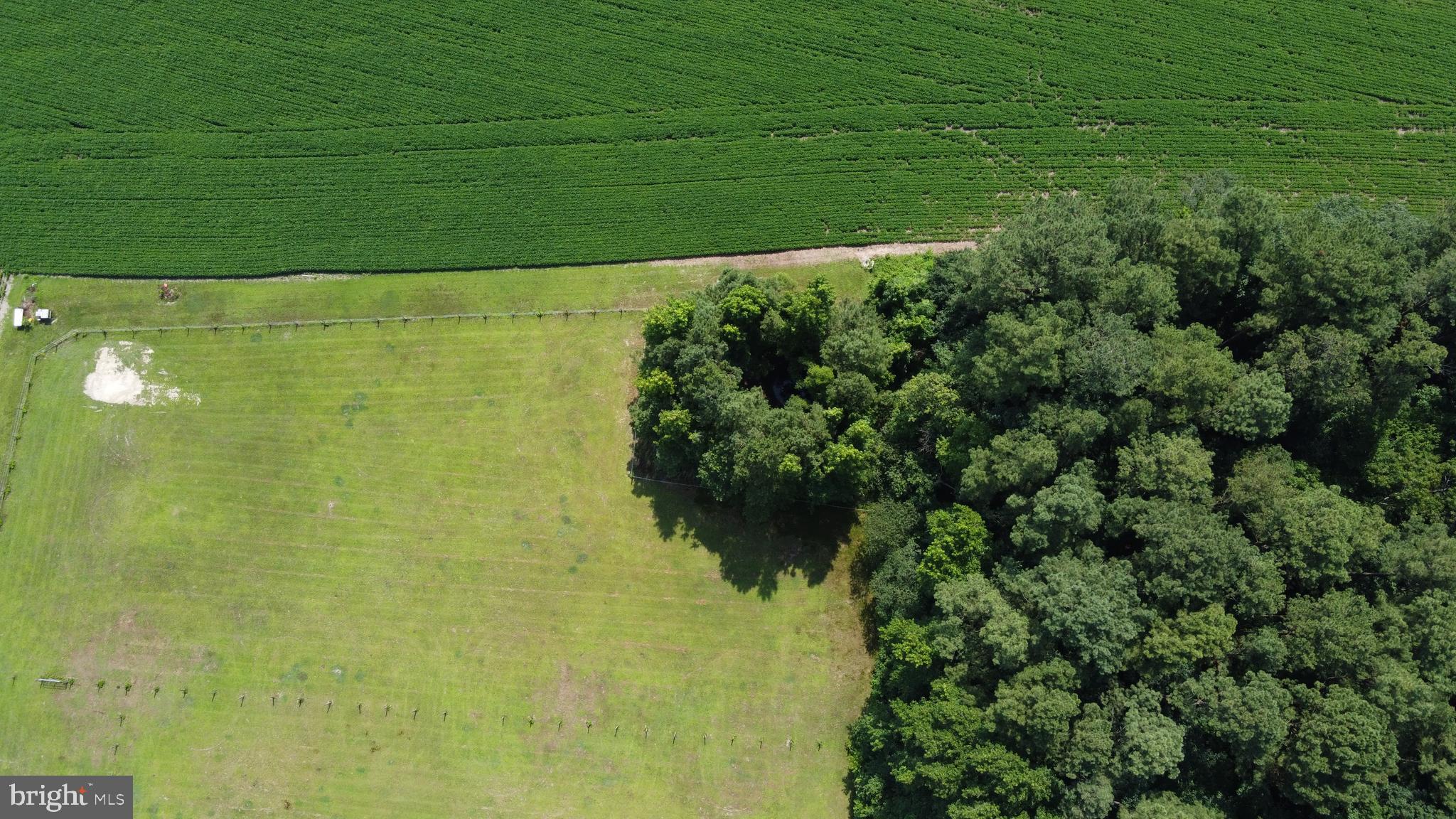 32881 Old Stage Road Laurel, DE 19956 - Photo 47 of 52 Birds eye view of back property area