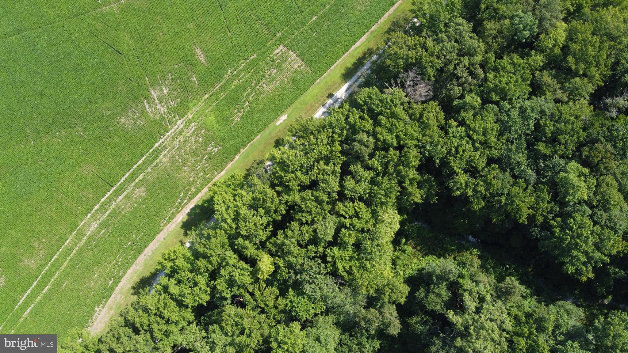 32881 Old Stage Road Laurel, DE 19956 - Photo 49 of 52 birds eye view of drive way coming out of woods