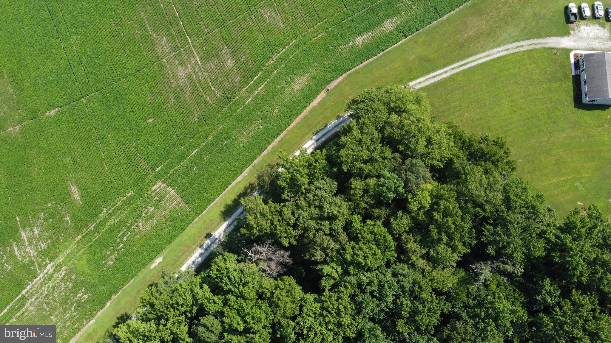 32881 Old Stage Road Laurel, DE 19956 - Photo 50 of 52 birds eye view of drive way as it clears woods