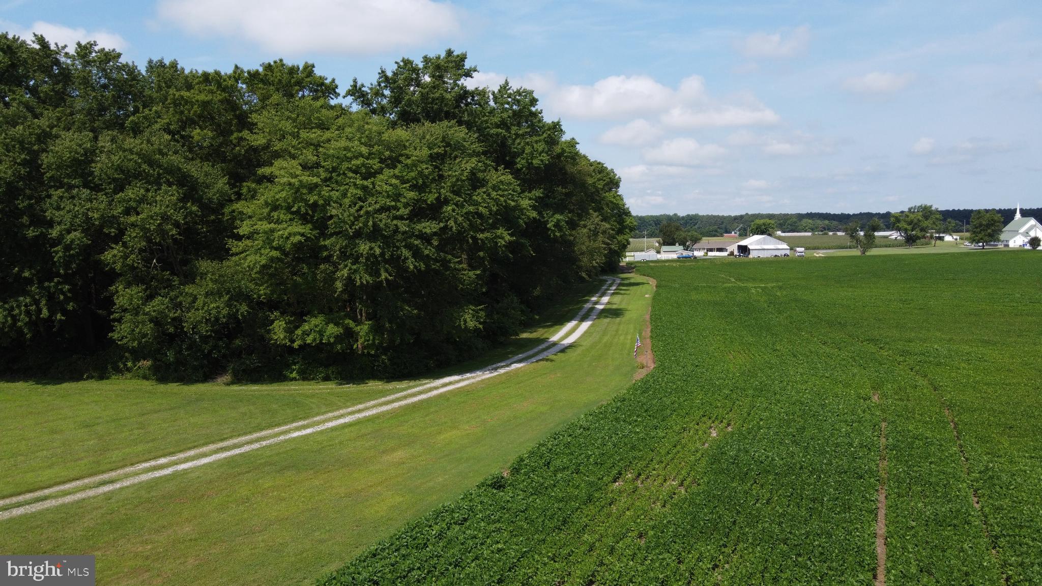 32881 Old Stage Road Laurel, DE 19956 - Photo 51 of 52 Birds eye view of drive way area