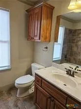 a bathroom with a sink a toilet and mirror