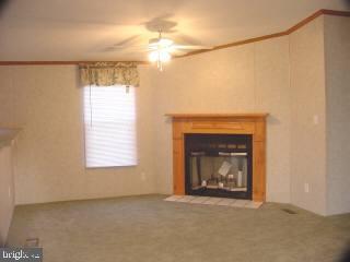 7669 Green Lewis Road Willards, MD 21874 - Photo 6 of 13