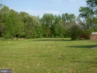7669 Green Lewis Road Willards, MD 21874 - Photo 8 of 13