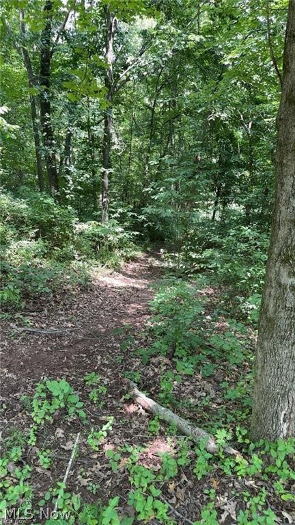 Lookout Road Stockport, OH 43787 - Photo 16 of 27
