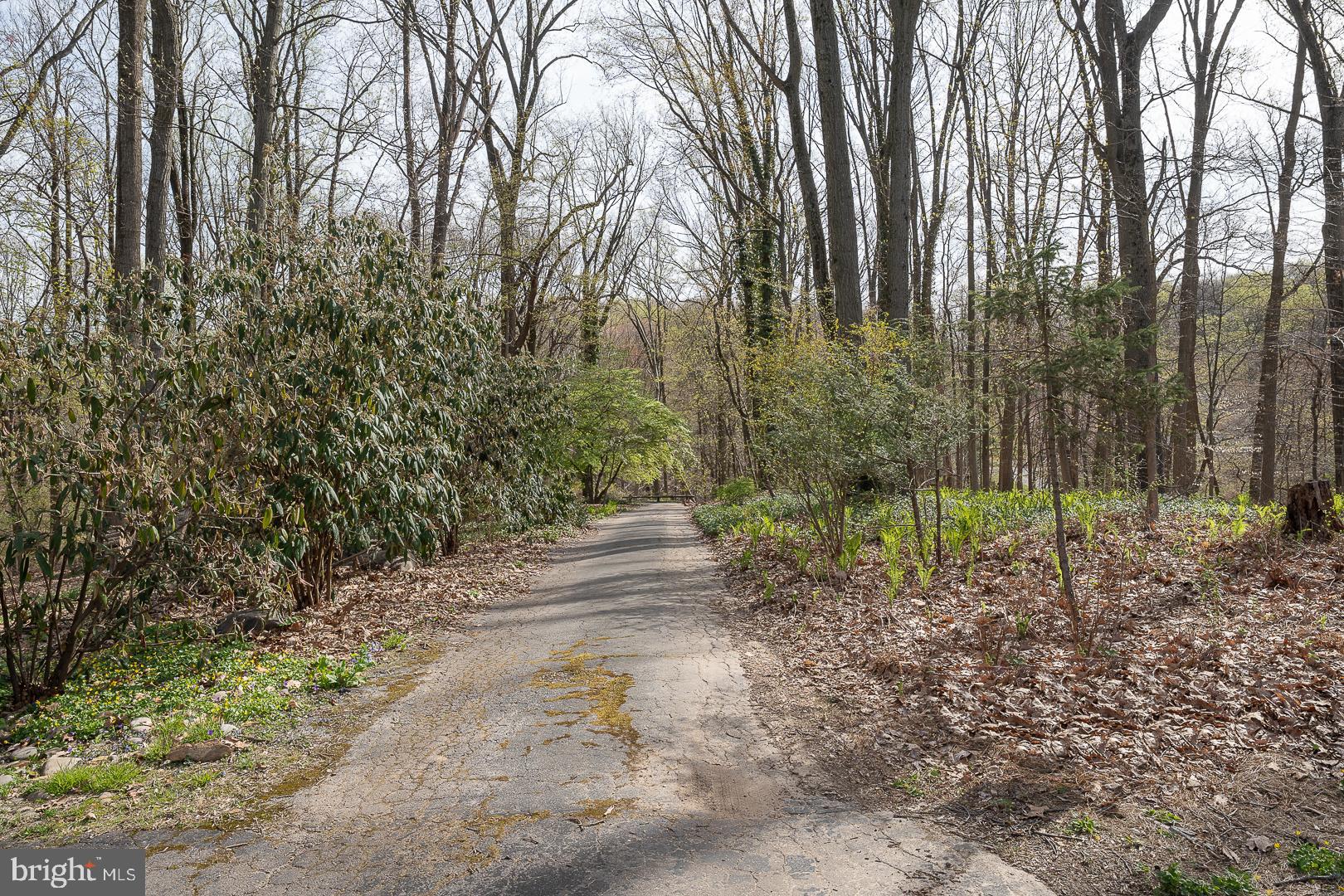 759 Hedges Lane Wayne, PA 19087 - Photo 59 of 60 Long driveway