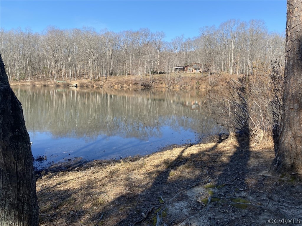 4491 Lakeview Road Gum Spring, VA 23065 - Photo 3 of 6 a view of a lake view