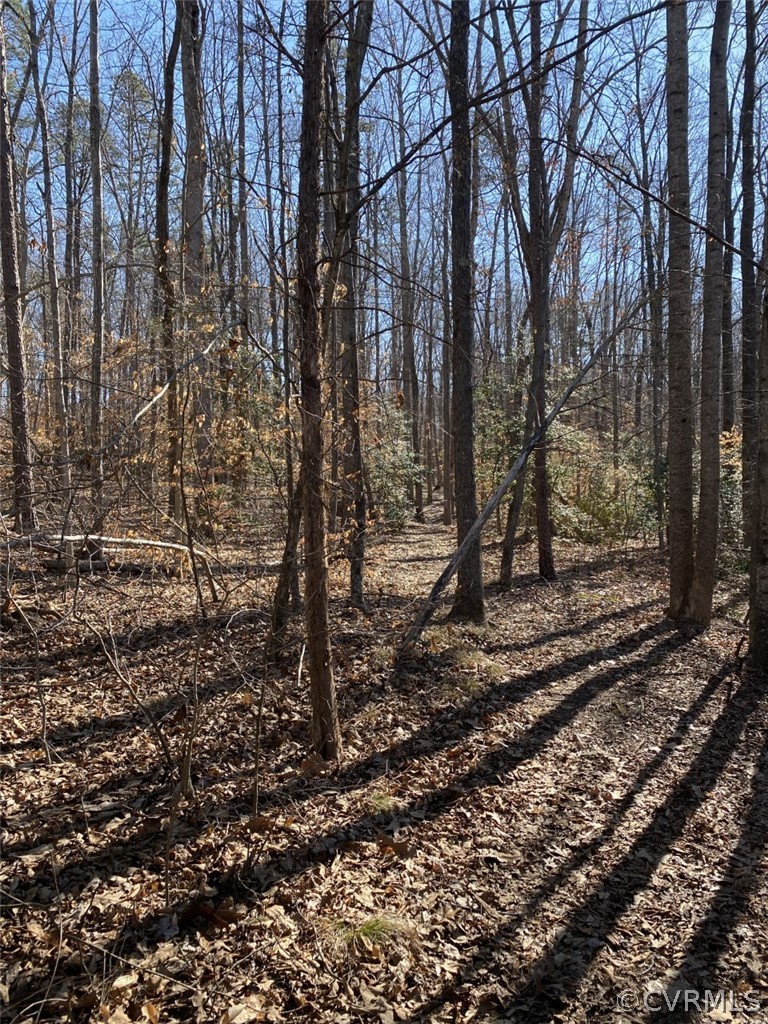 4491 Lakeview Road Gum Spring, VA 23065 - Photo 4 of 6 a view of a yard with trees