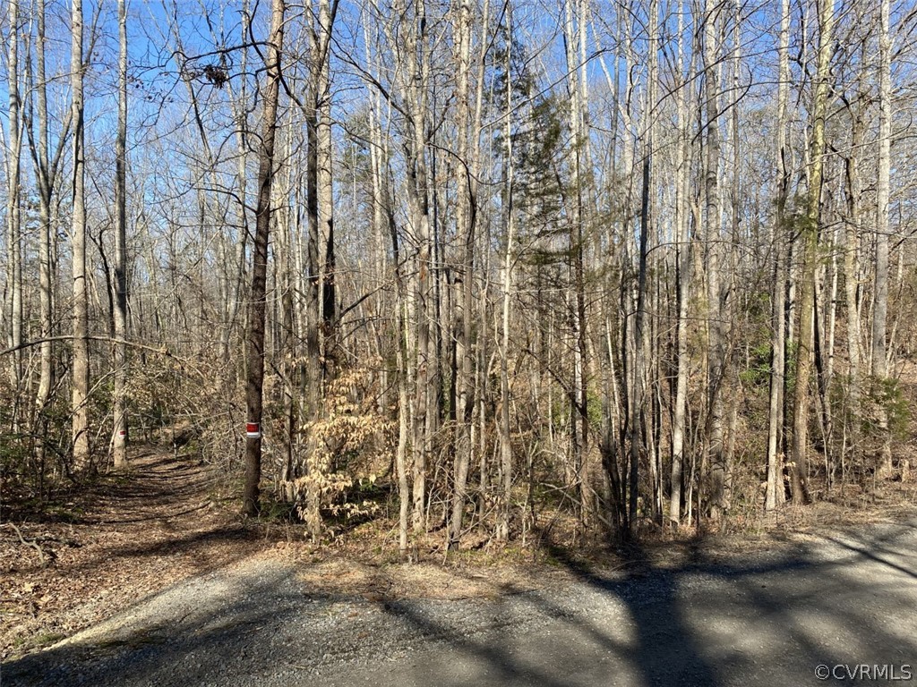 4491 Lakeview Road Gum Spring, VA 23065 - Photo 5 of 6 a view of a outdoor space