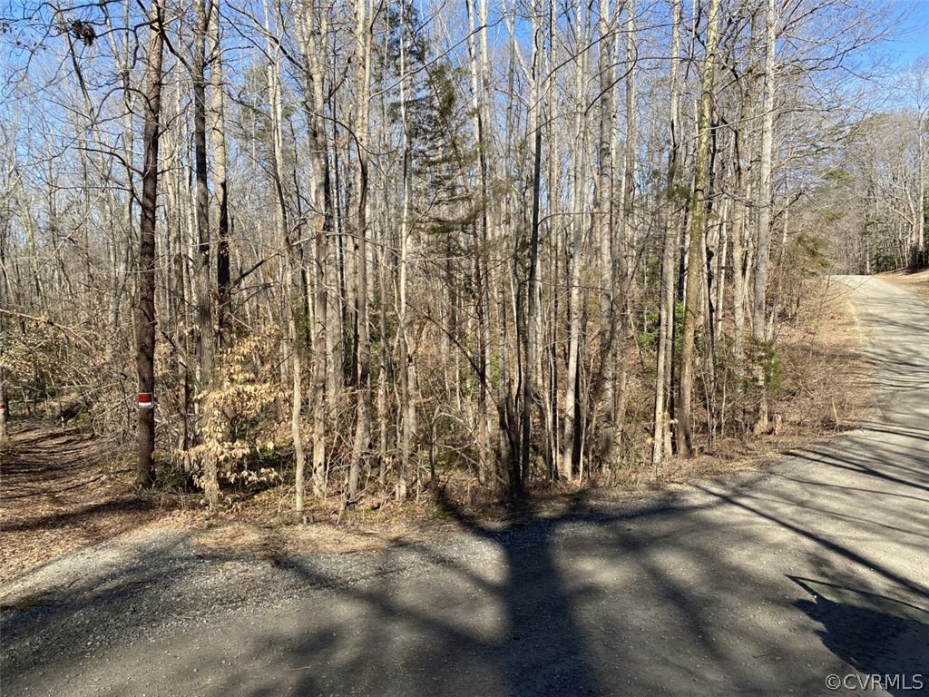 4491 Lakeview Road Gum Spring, VA 23065 - Photo 6 of 6