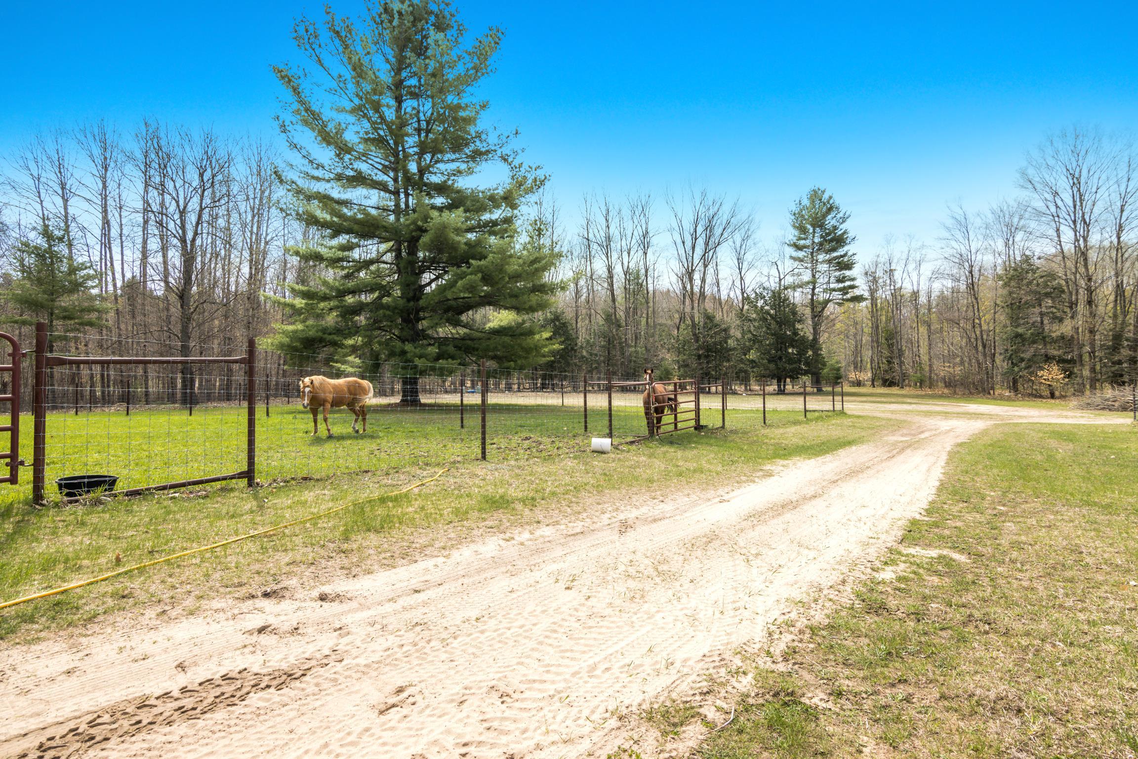 8124 Crisp Road Williamsburg, MI 49690 - Photo 49 of 67