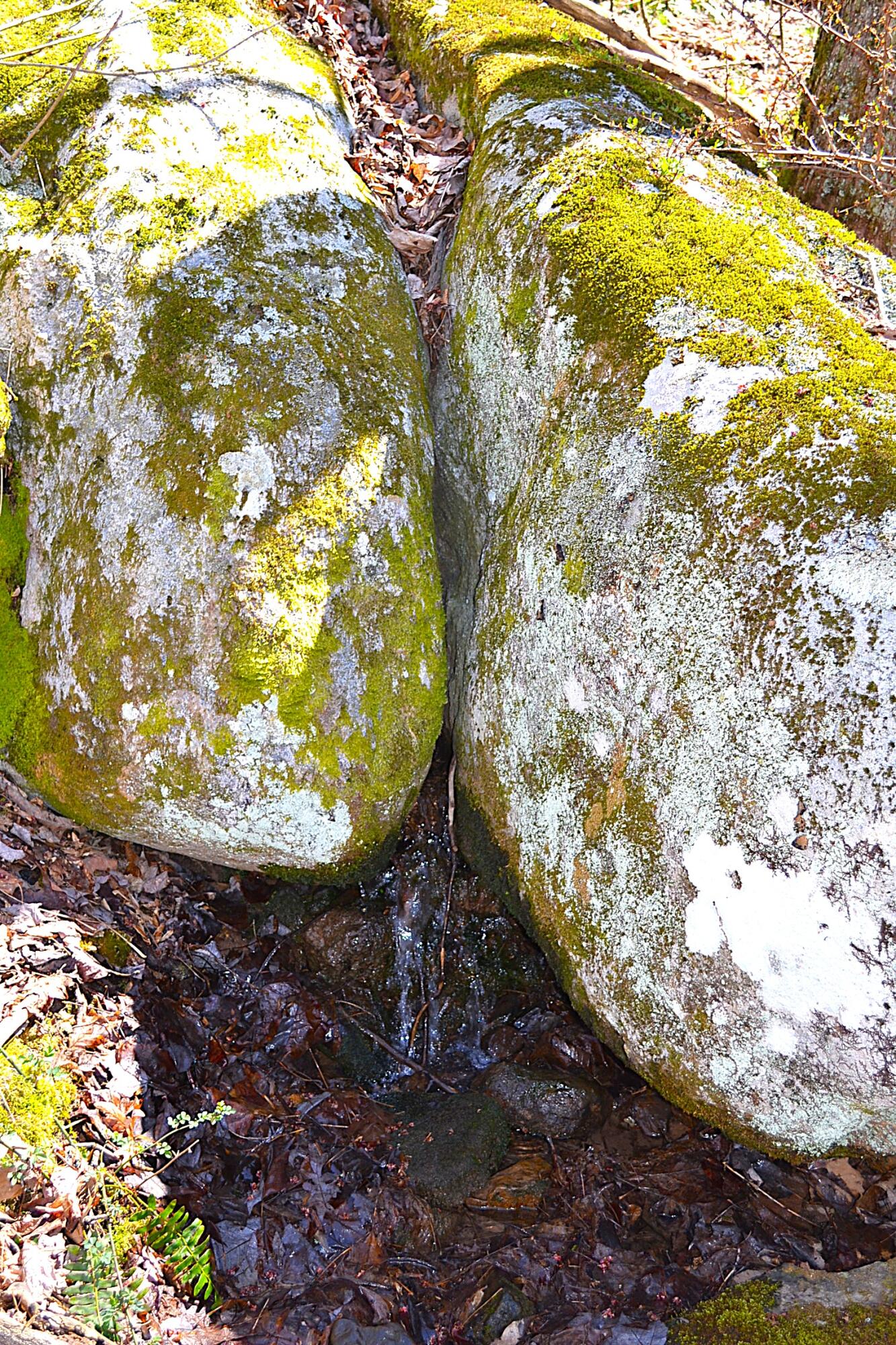 2245 Crowder Road Gap Mills, WV 24941 - Photo 20 of 41 Split Rock Water Spring