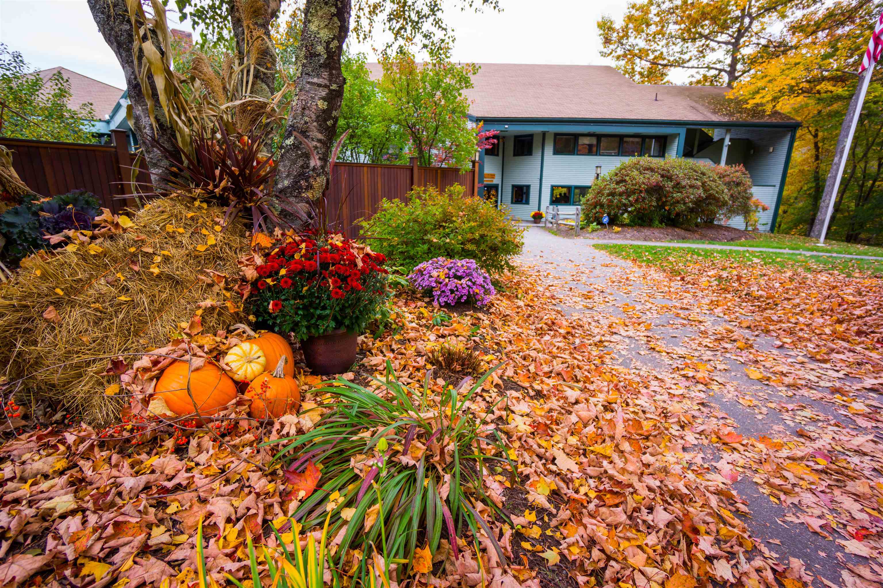 5 Boulder Court Campton, NH 03223 - Photo 5 of 12