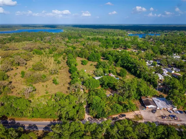 a view of a forest with trees in the background