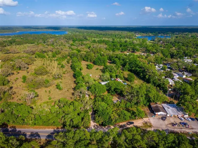 a view of a forest with trees in the background