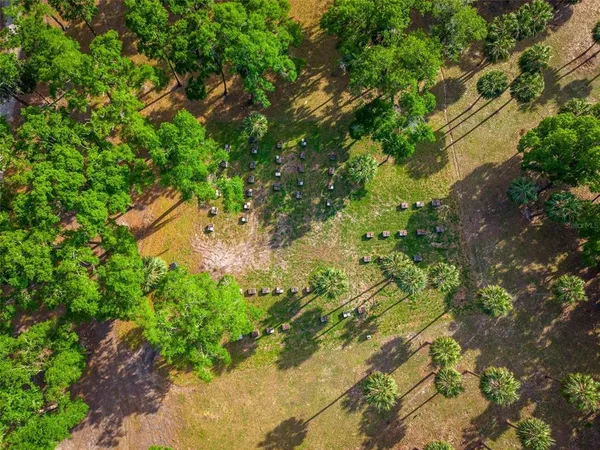 a view of outdoor space with garden