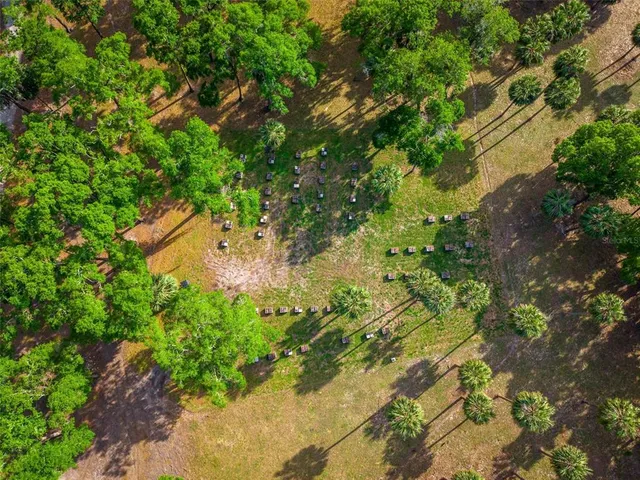 a view of outdoor space with garden