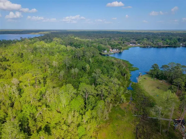 a view of a lake with a city
