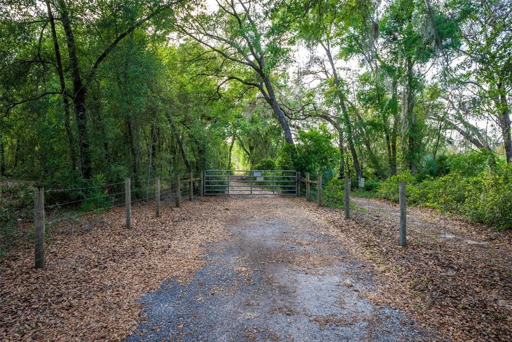 Fishermans Road Paisley, FL 32767 - Photo 29 of 77 a view of a forest with trees in the background