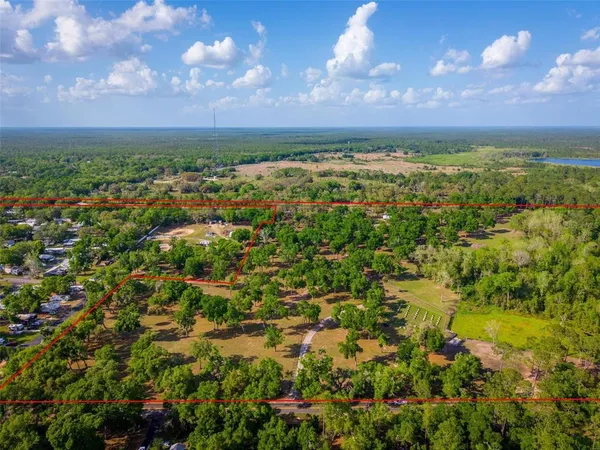 a view of a field with plants and large trees