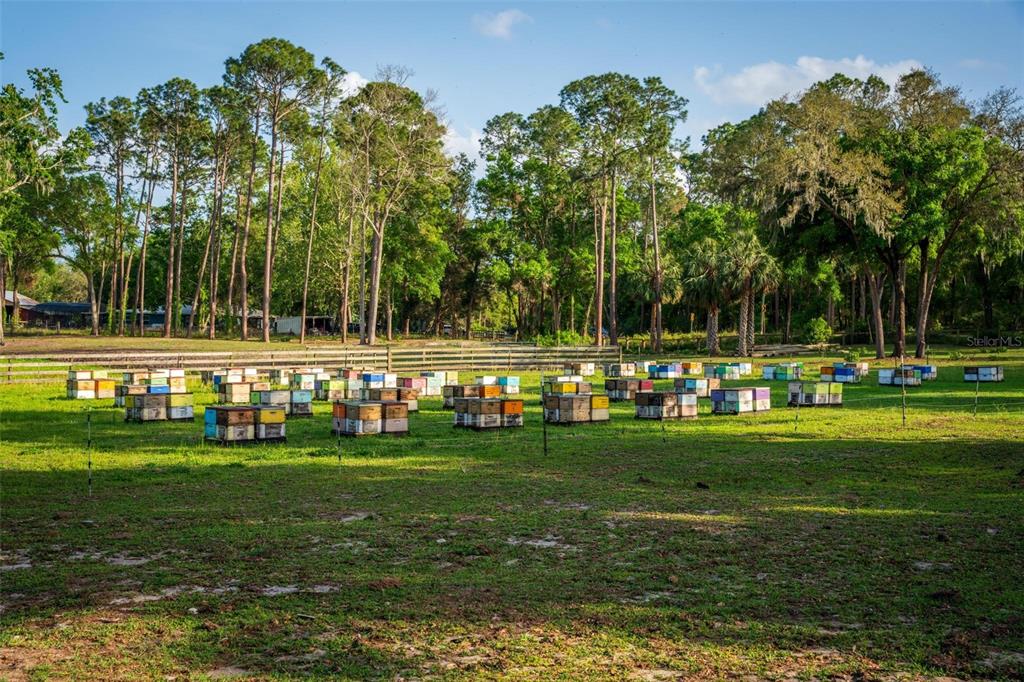 Fishermans Road Paisley, FL 32767 - Photo 59 of 77