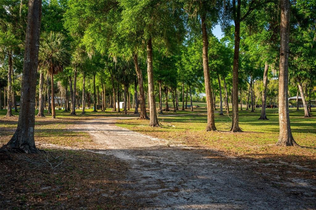 Fishermans Road Paisley, FL 32767 - Photo 60 of 77 a view of a house with a big yard