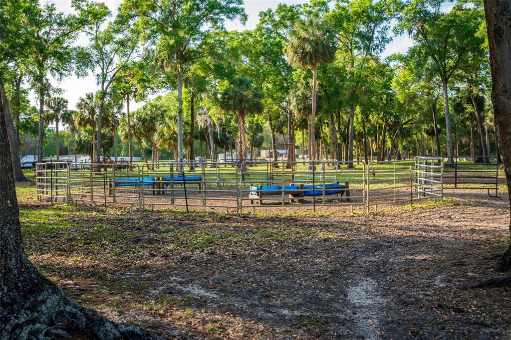 Fishermans Road Paisley, FL 32767 - Photo 61 of 77 a view of a park with swings