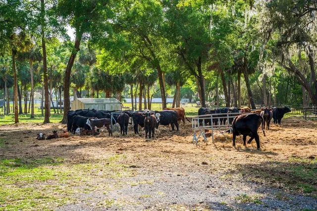 $2,000,000 | Fishermans Road, Paisley, FL 32767