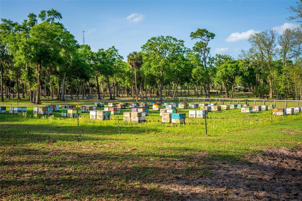 Fishermans Road Paisley, FL 32767 - Photo 65 of 77 a view of a park