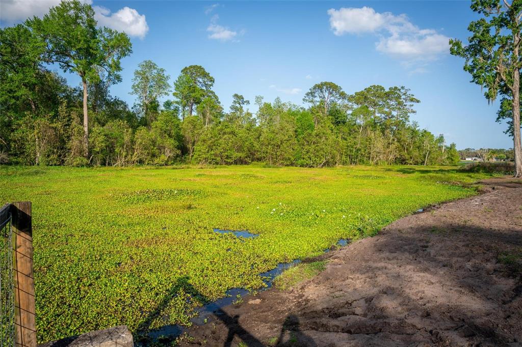 Fishermans Road Paisley, FL 32767 - Photo 66 of 77 a view of a lake with a big yard