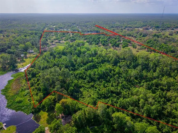 a view of a bunch of flowers and trees