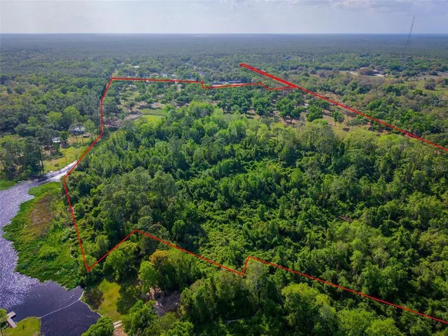 a view of a bunch of flowers and trees