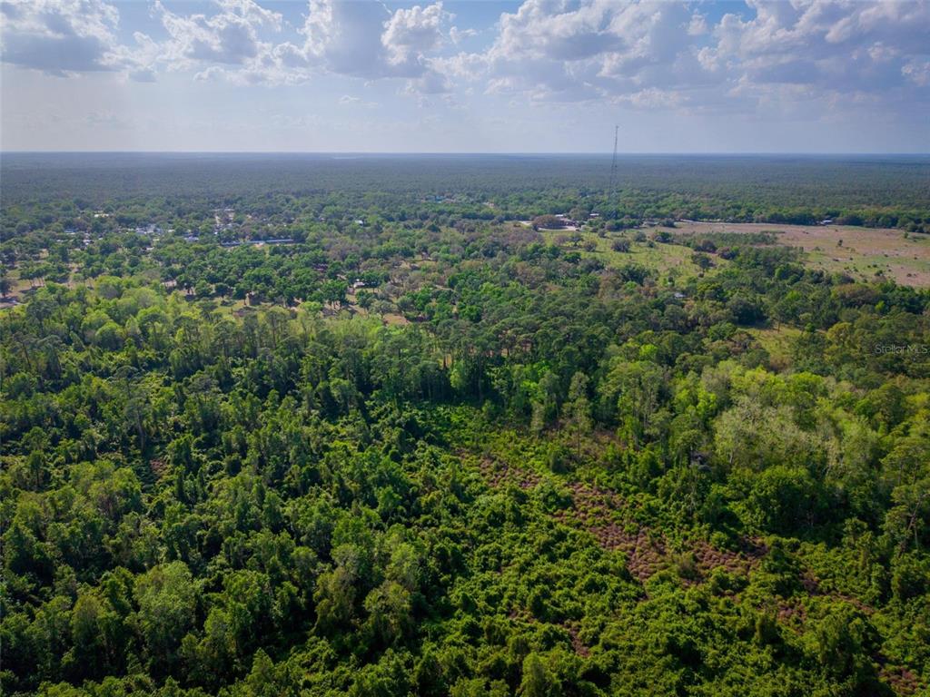 Fishermans Road Paisley, FL 32767 - Photo 10 of 77 an aerial view of multiple house